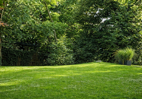 Garten