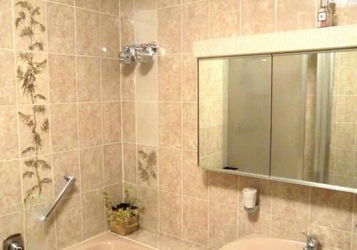 Bad Wanne