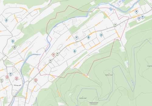Site plan (micro)