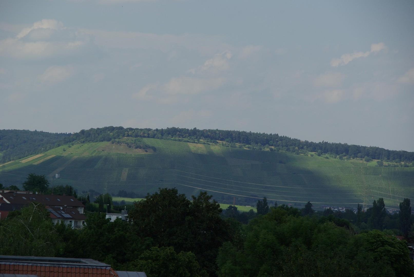 Ausblick aus der Wohnung
