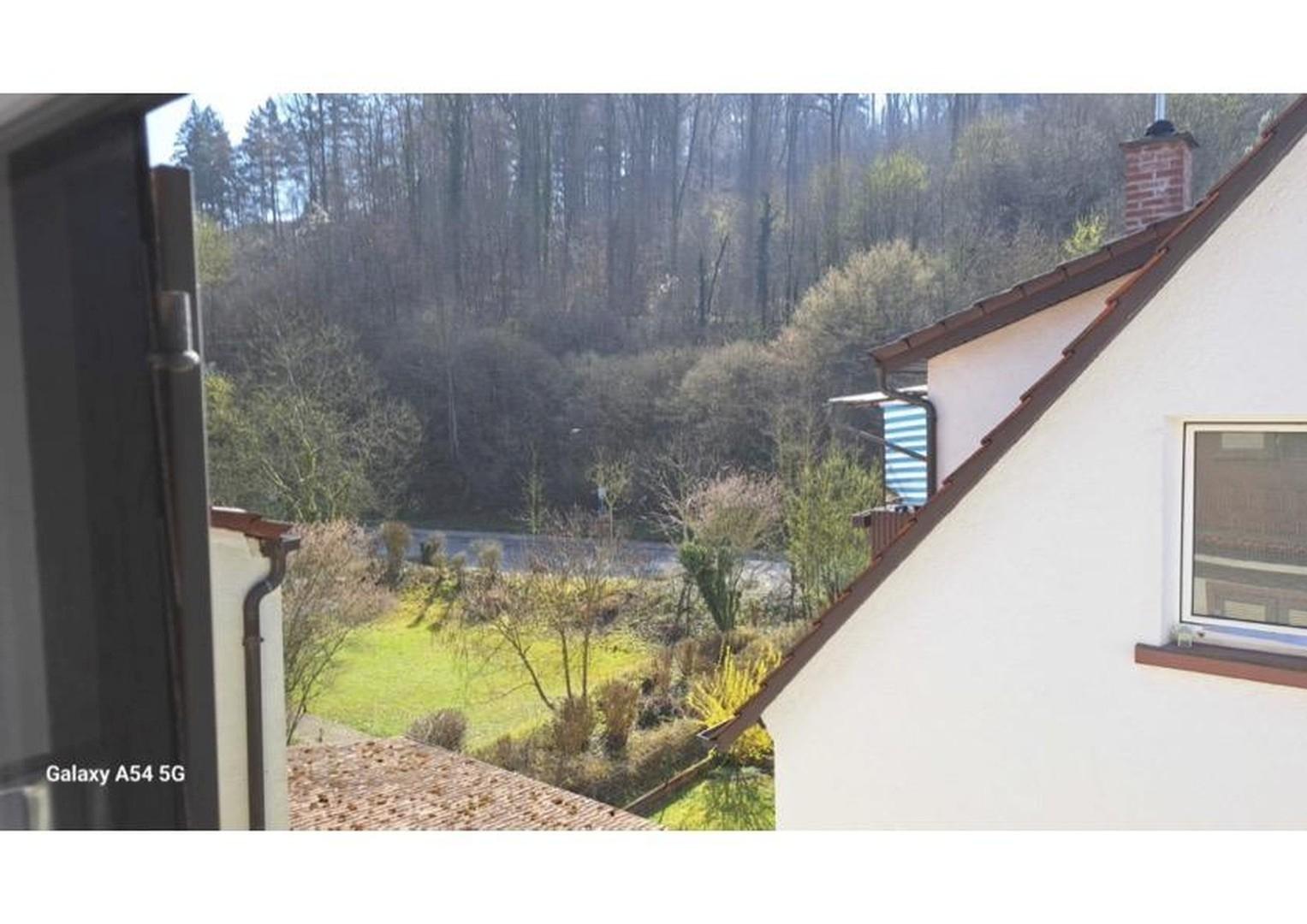 Ausblick 1