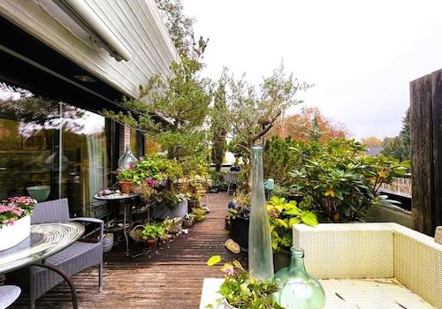 Südwest-Terrasse