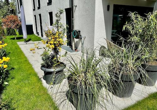 Garten I