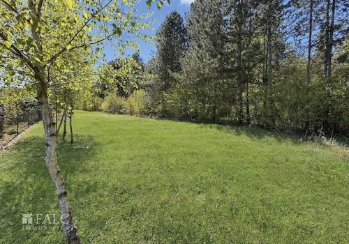Blick zum Wald