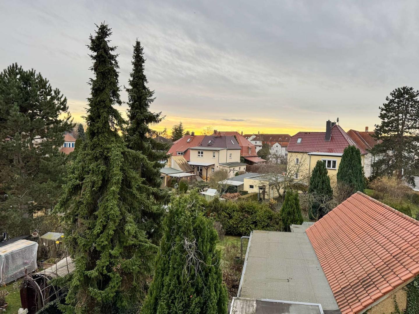 Blick auf den Garten