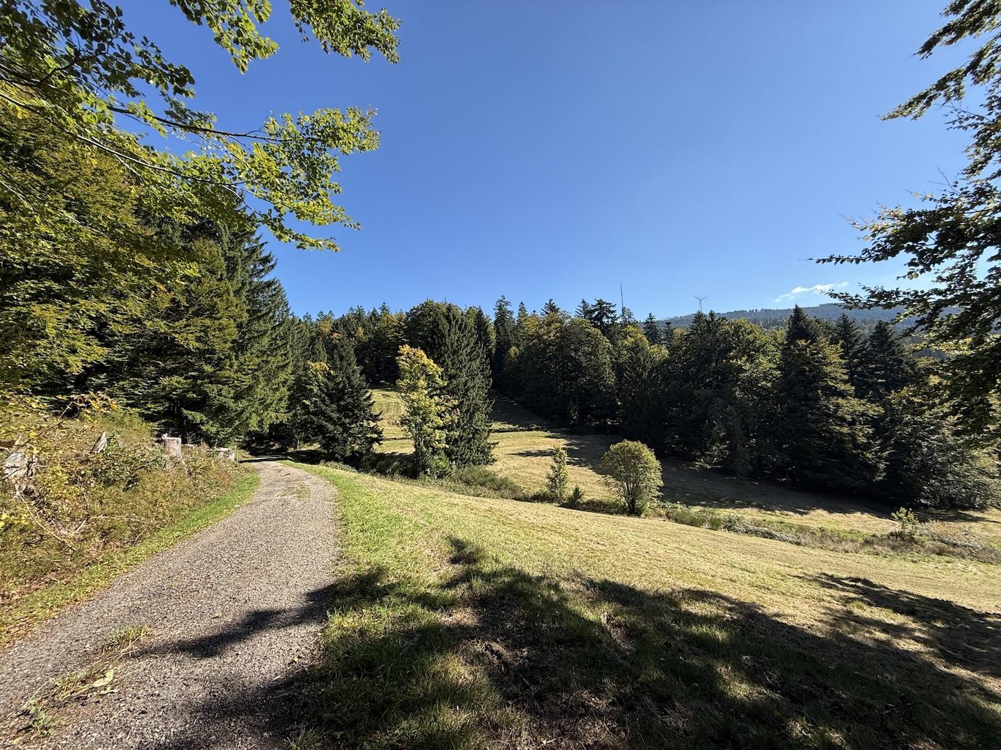 Blick vom Wirtschaftweg 