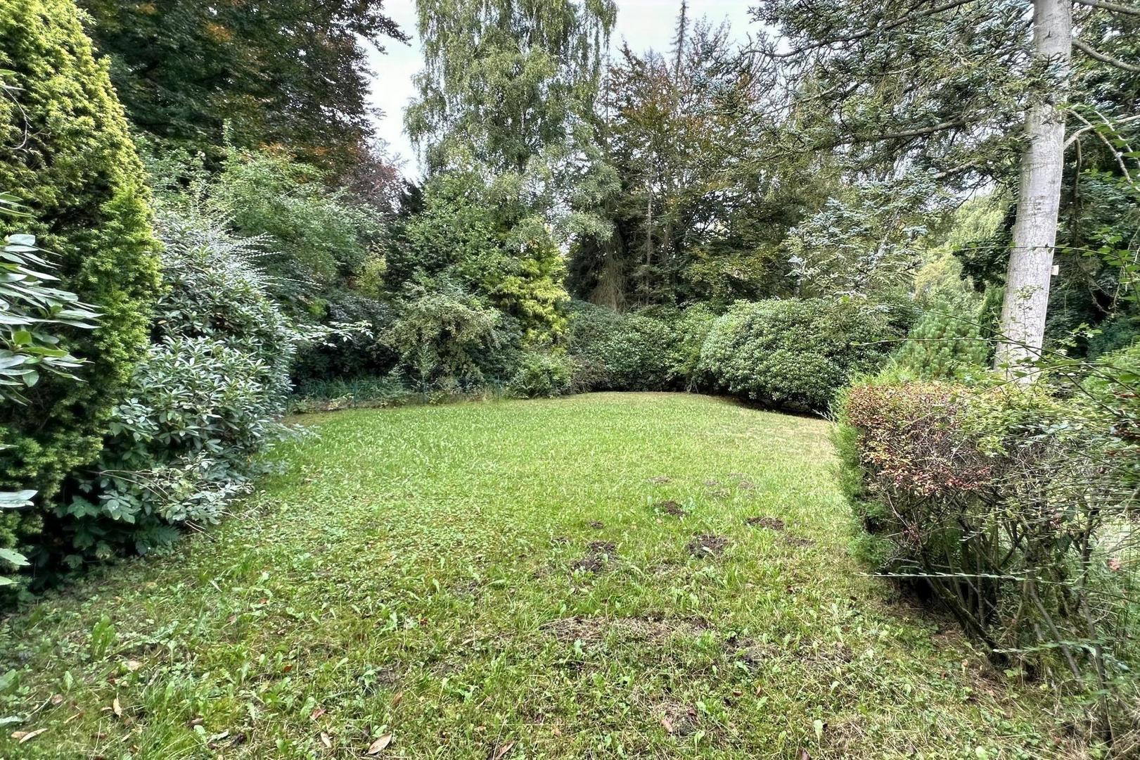 vorderer Gartenbereich