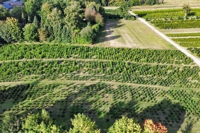 Verpachtetes Ackerland mit Kaufoption