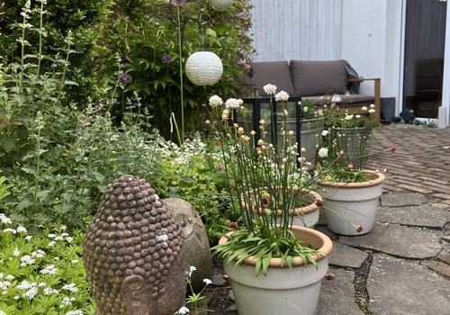 Terrasse Garten