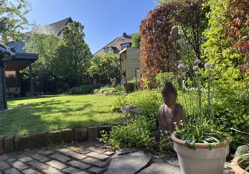 Blick Terrasse Richtung Garten