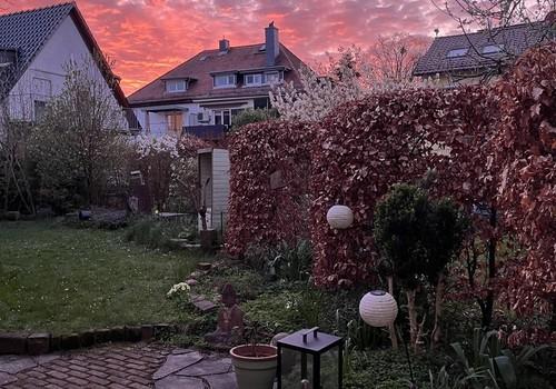 Abendgarten hinter dem Haus