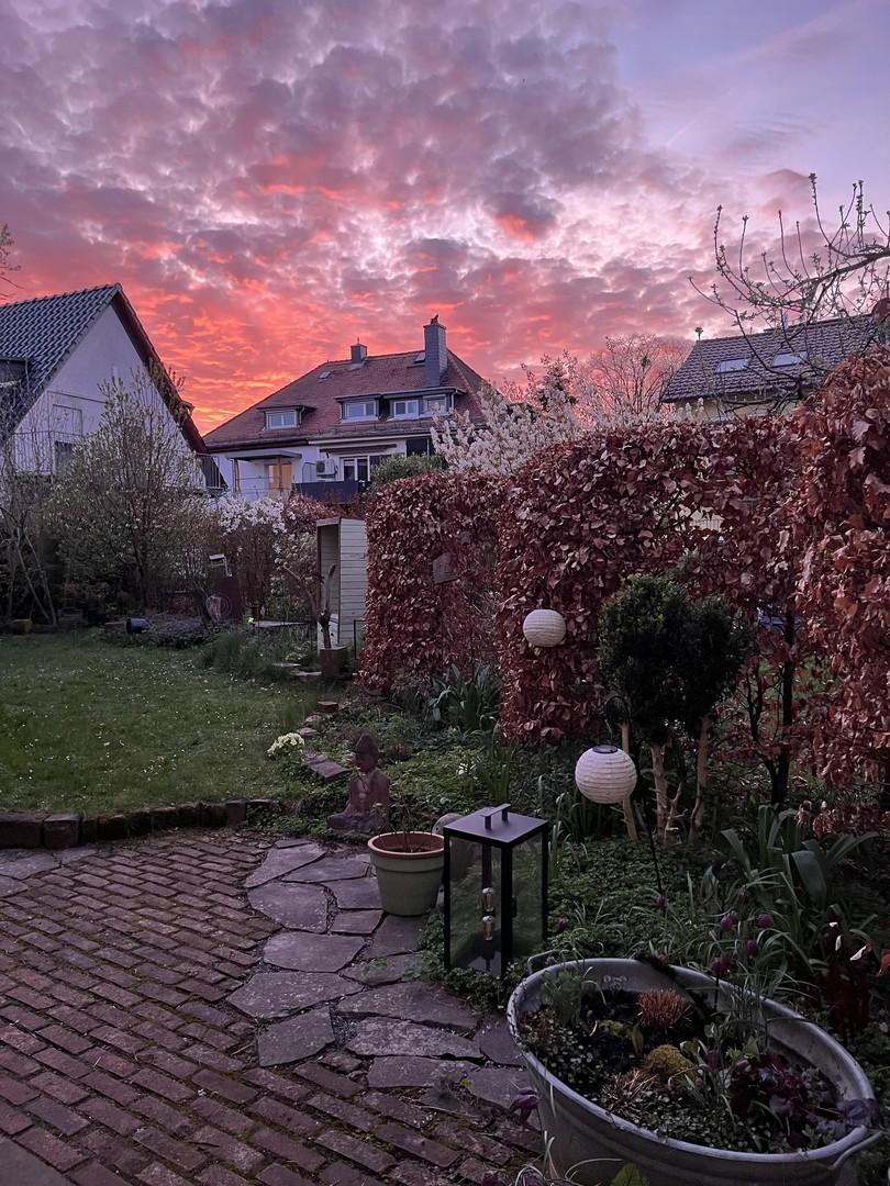 Abendgarten hinter dem Haus