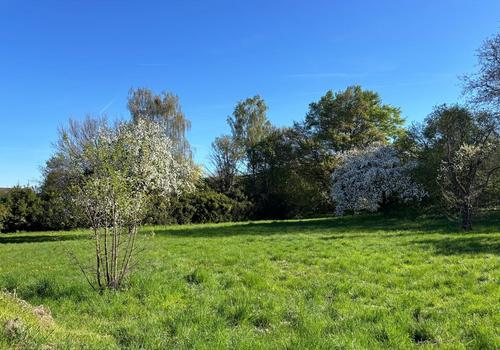 Grundstück Starnberg
