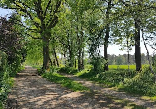 Wanderweg vor der Haustür