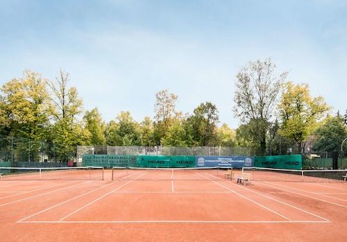 Dahlemer Tennisclub