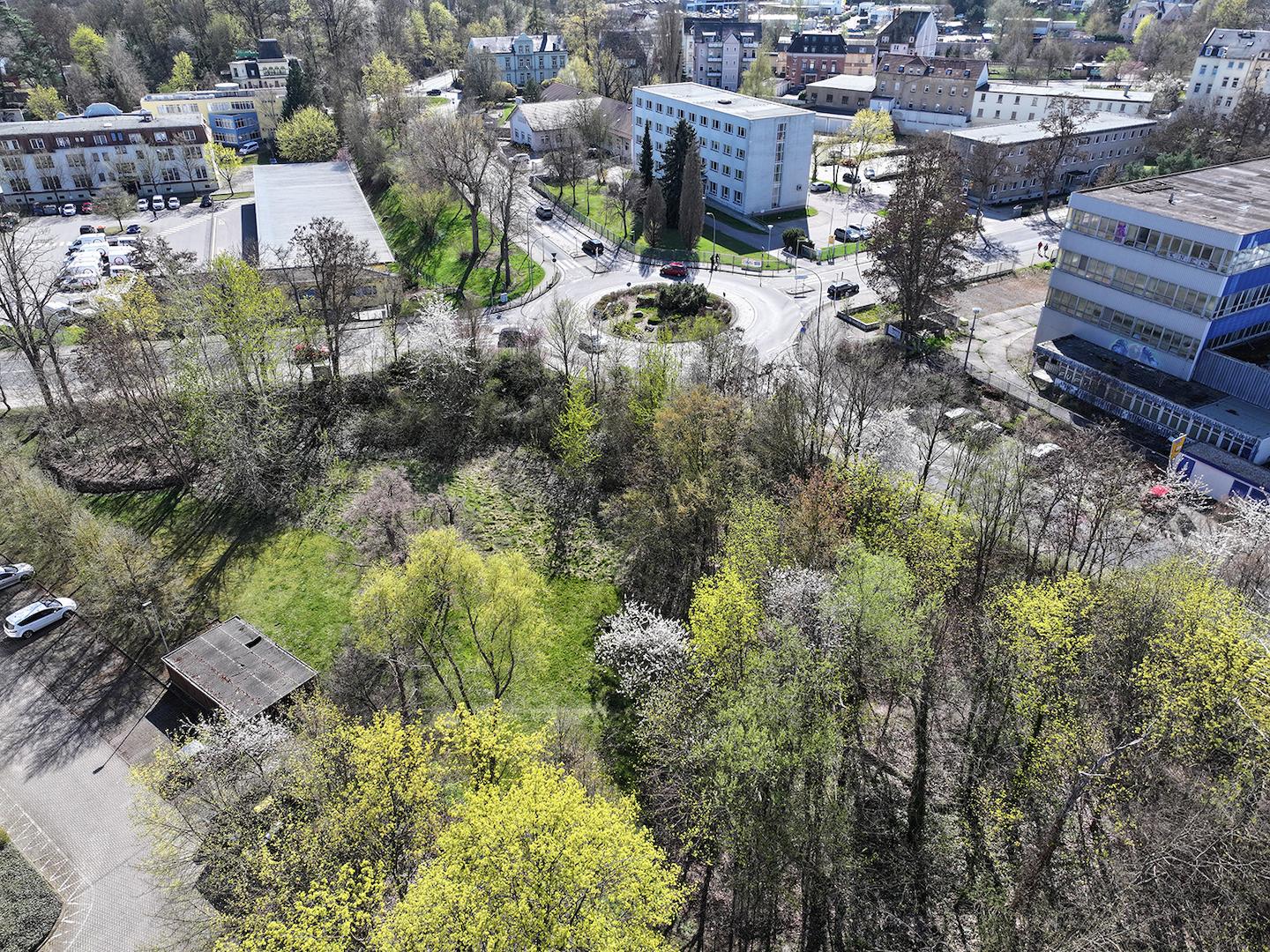 Blick auf die Bäume