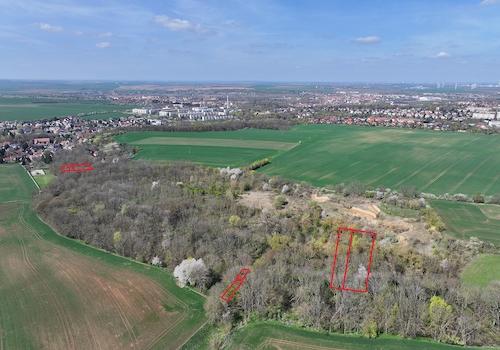 Blick Richtung Norden 