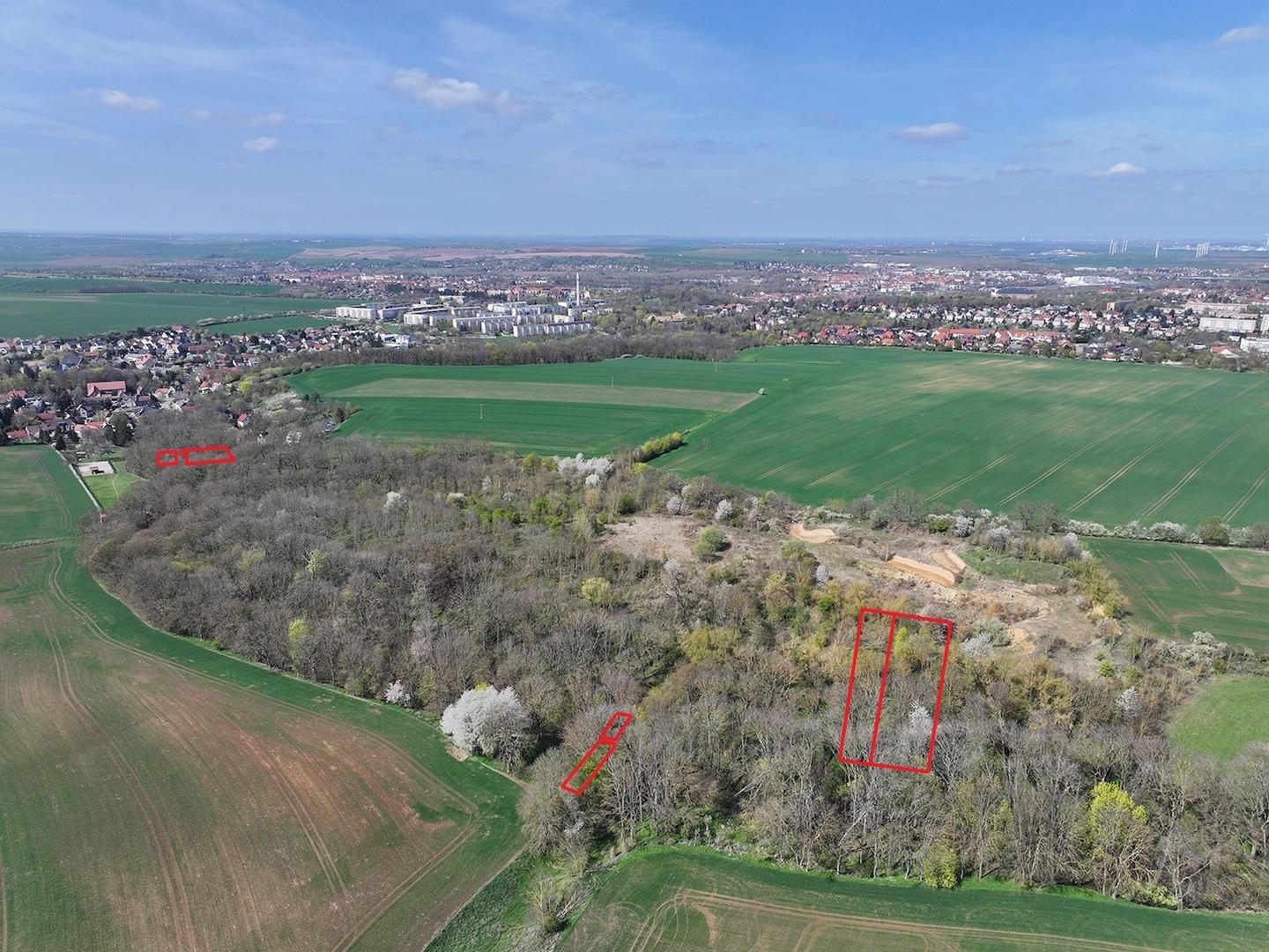 Blick Richtung Norden 