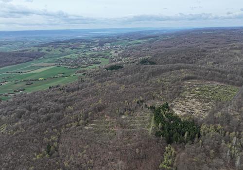 Blick nach West