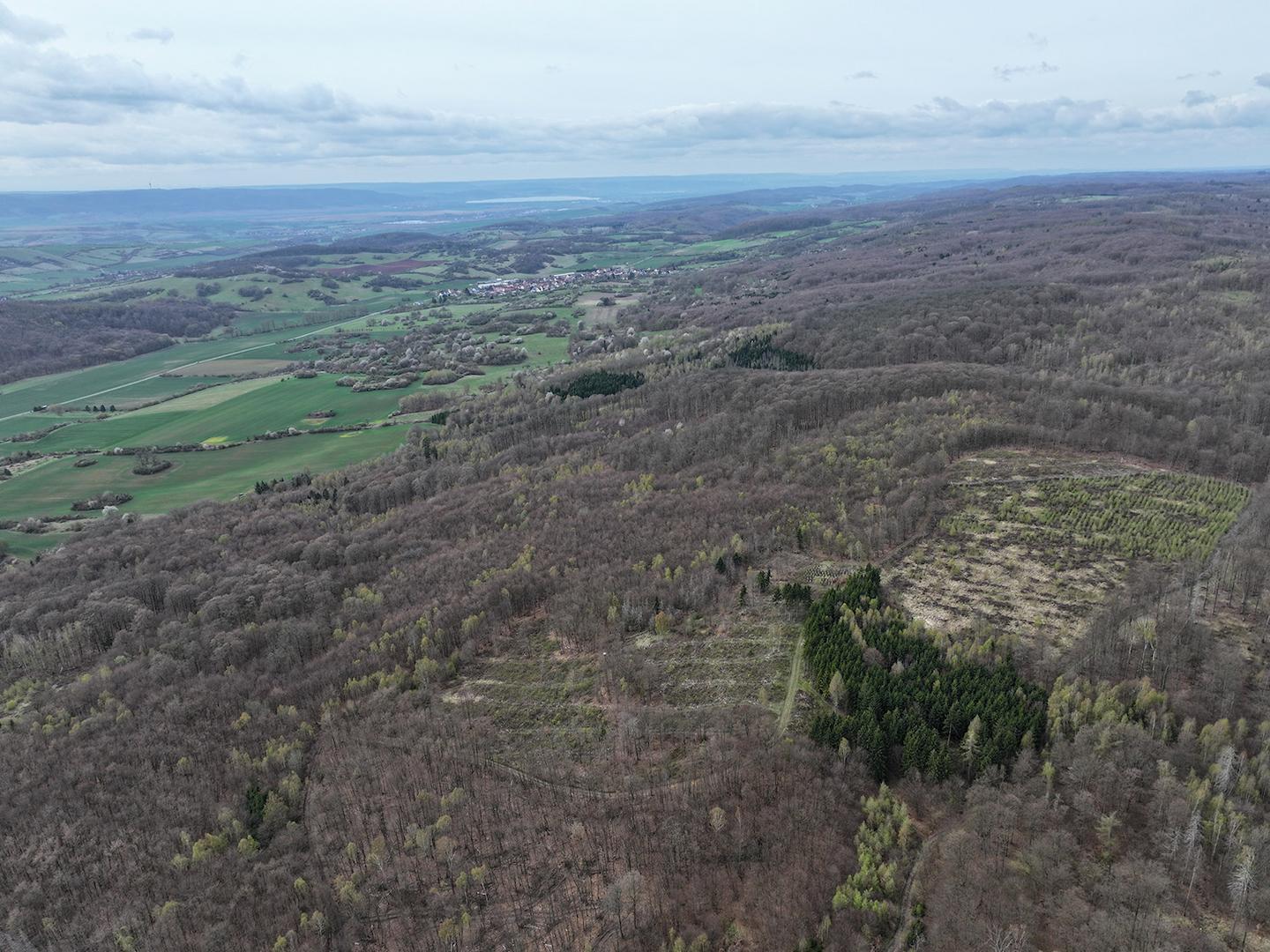 Blick nach West