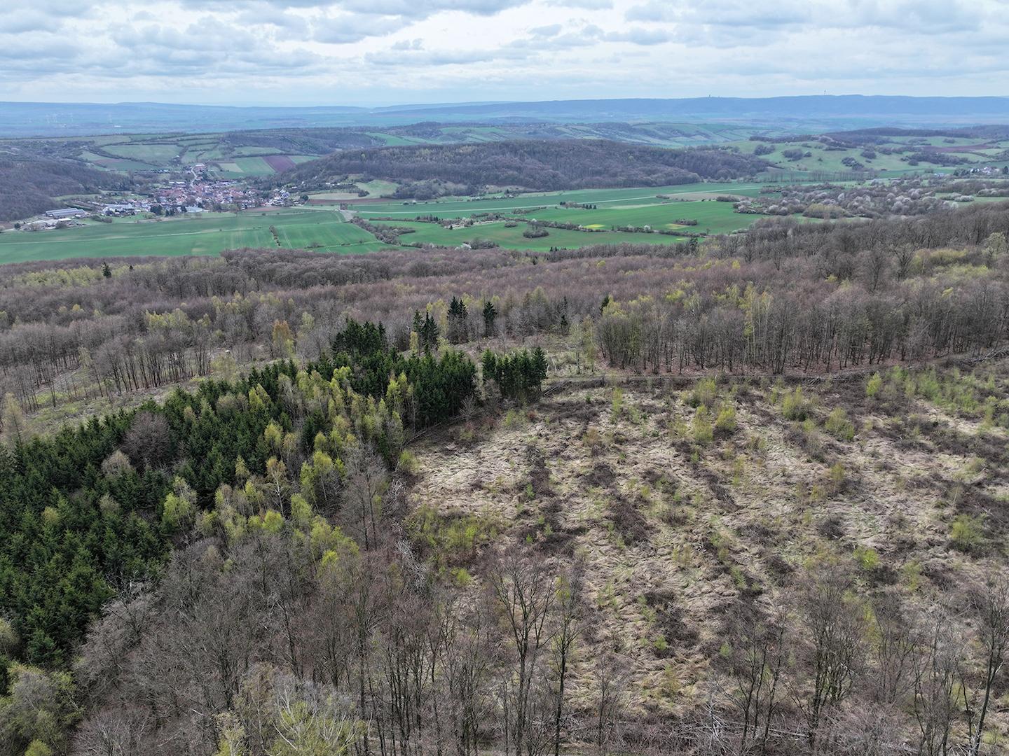 Blick nach Süd-West