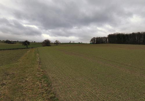 Blick über den Acker 
