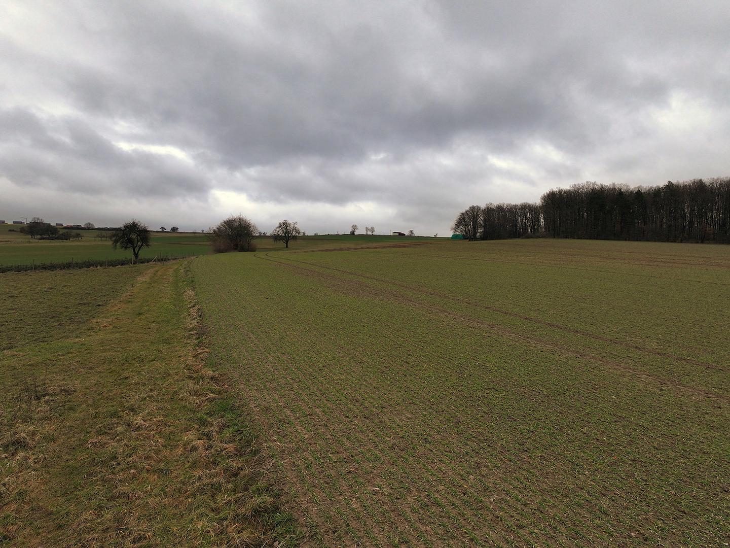 Blick über den Acker 