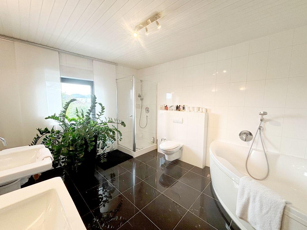 modernes Tageslichtbad