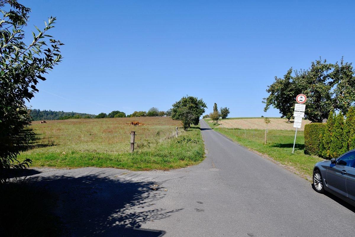 traumhafte Feldrandlage