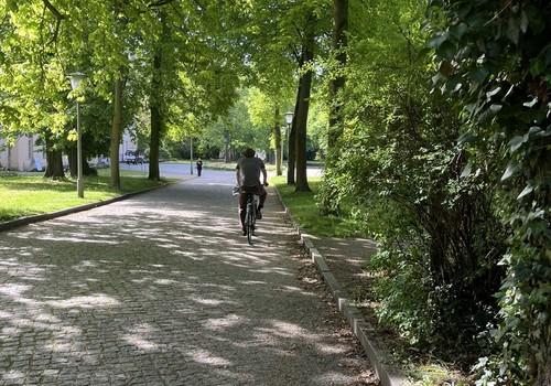 Schloßpark 