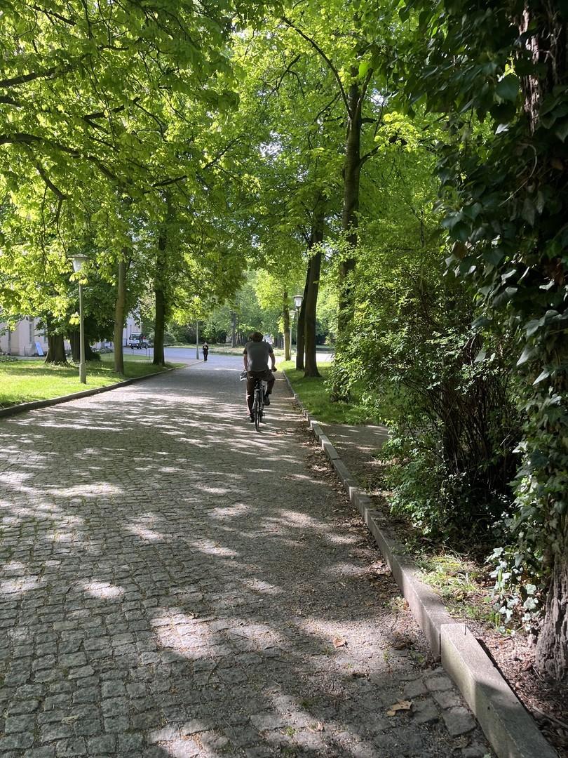 Schloßpark 