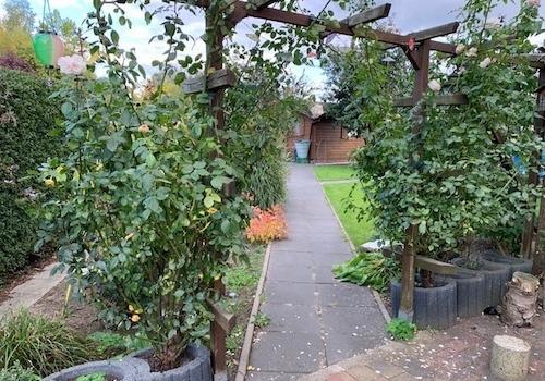Blick in den Garten