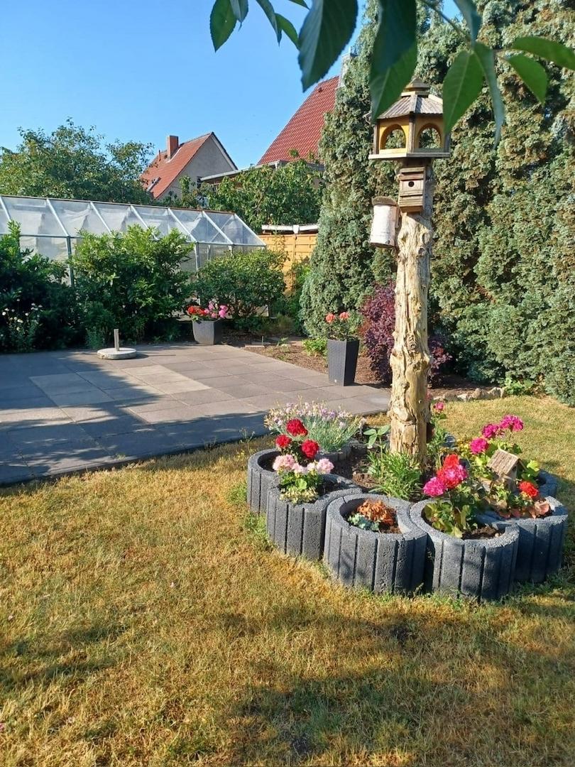 Garten, Terrasse und Gewächshaus
