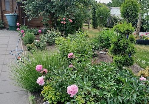 Garten