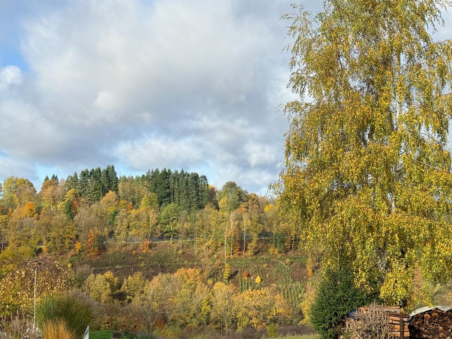 Weitblick  