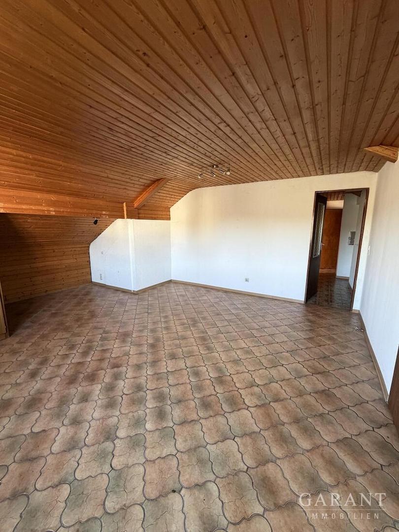 Zimmer DG