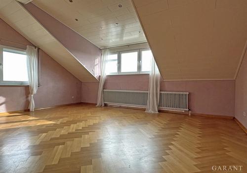 Zimmer DG