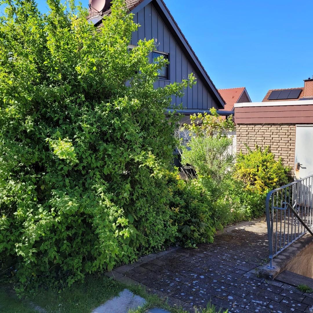Weg zur Garage und Kellerabgan