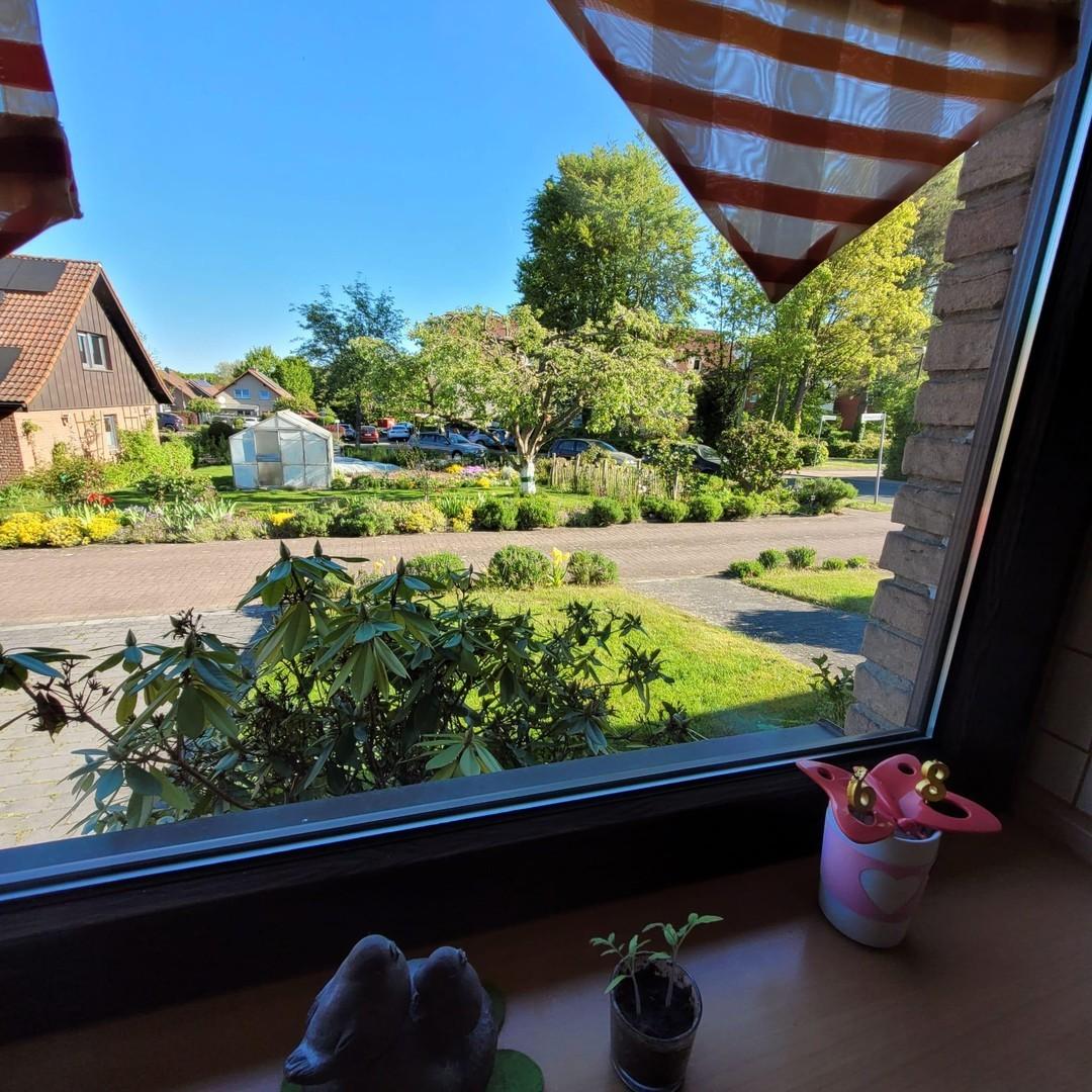 Blick Küchenfenster