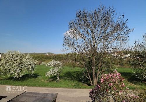 Ausblick Balkon