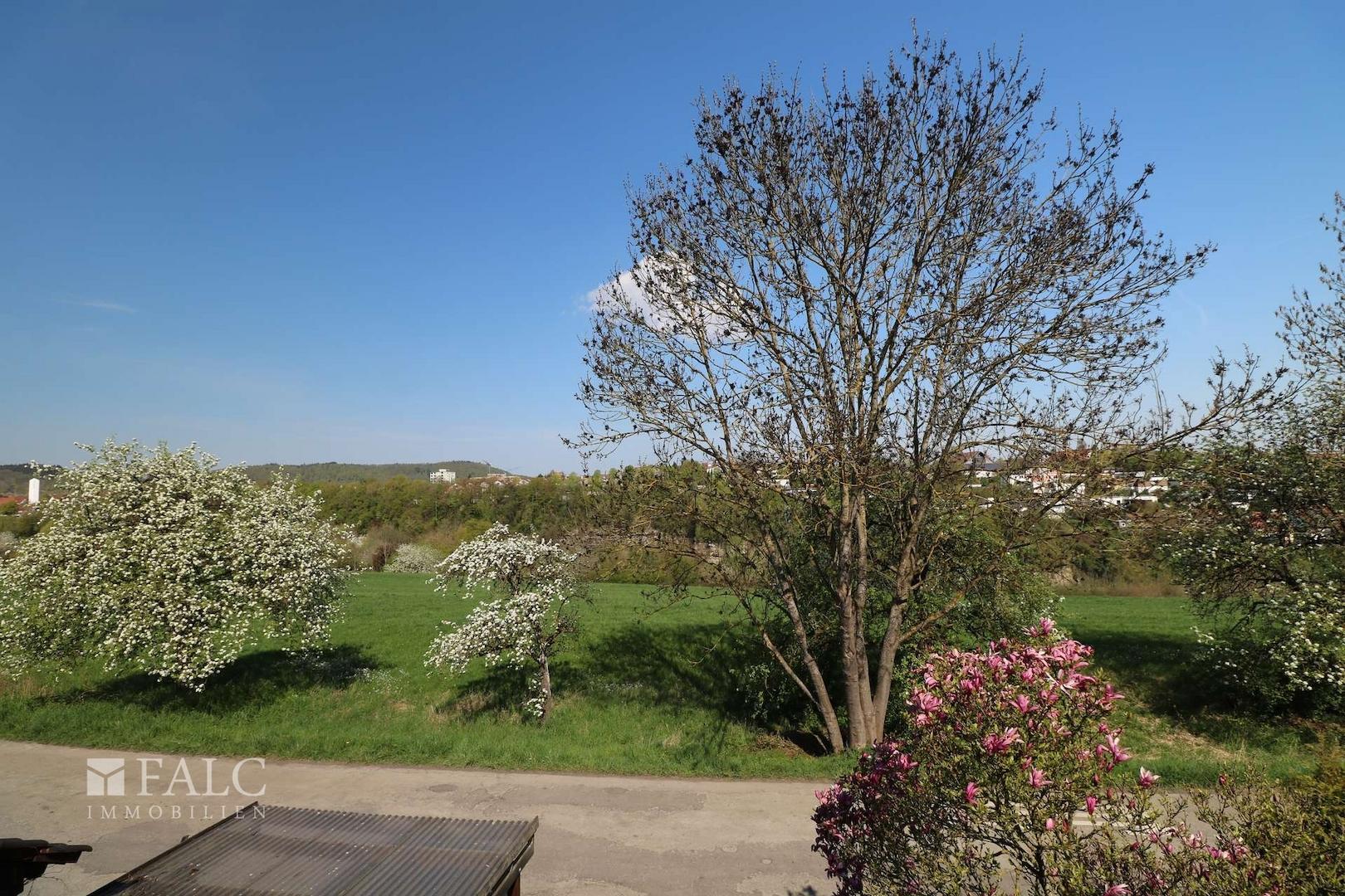Ausblick Balkon