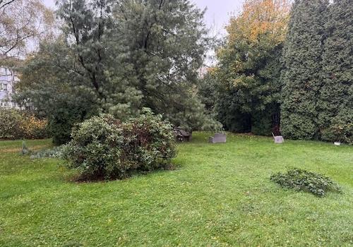 Gemeinschaftsgarten