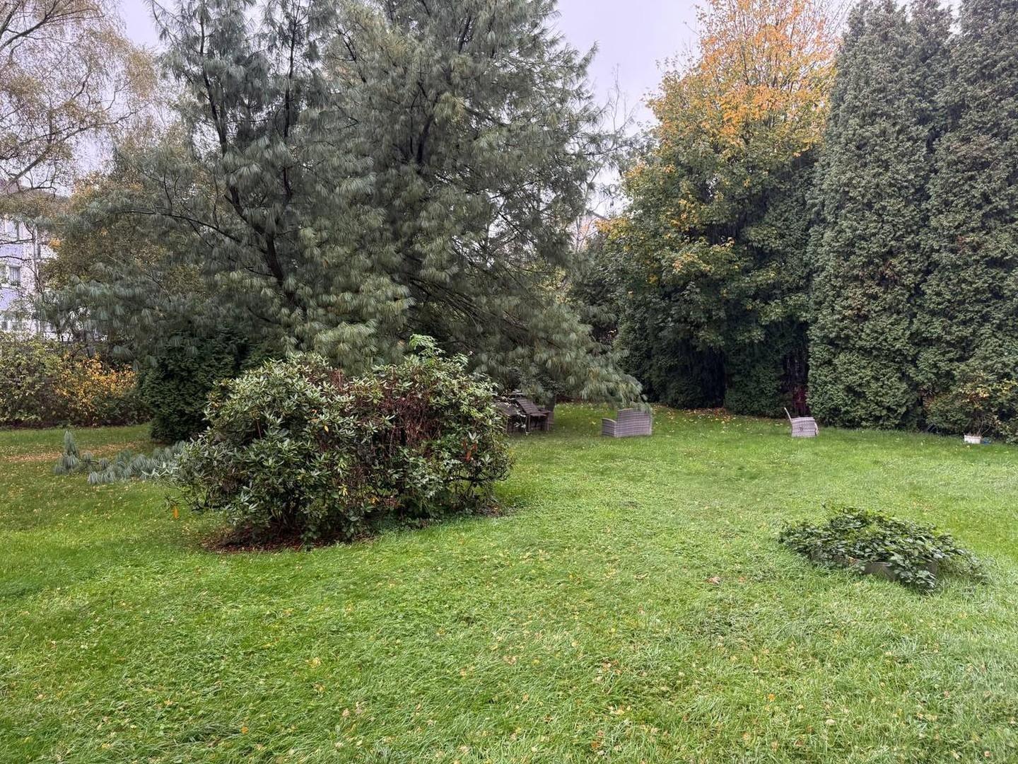 Gemeinschaftsgarten