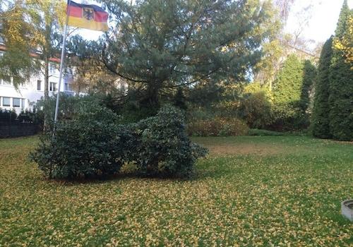 Gemeinschaftsgarten