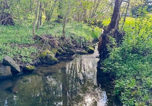 Rosenhainer Wasser (3)