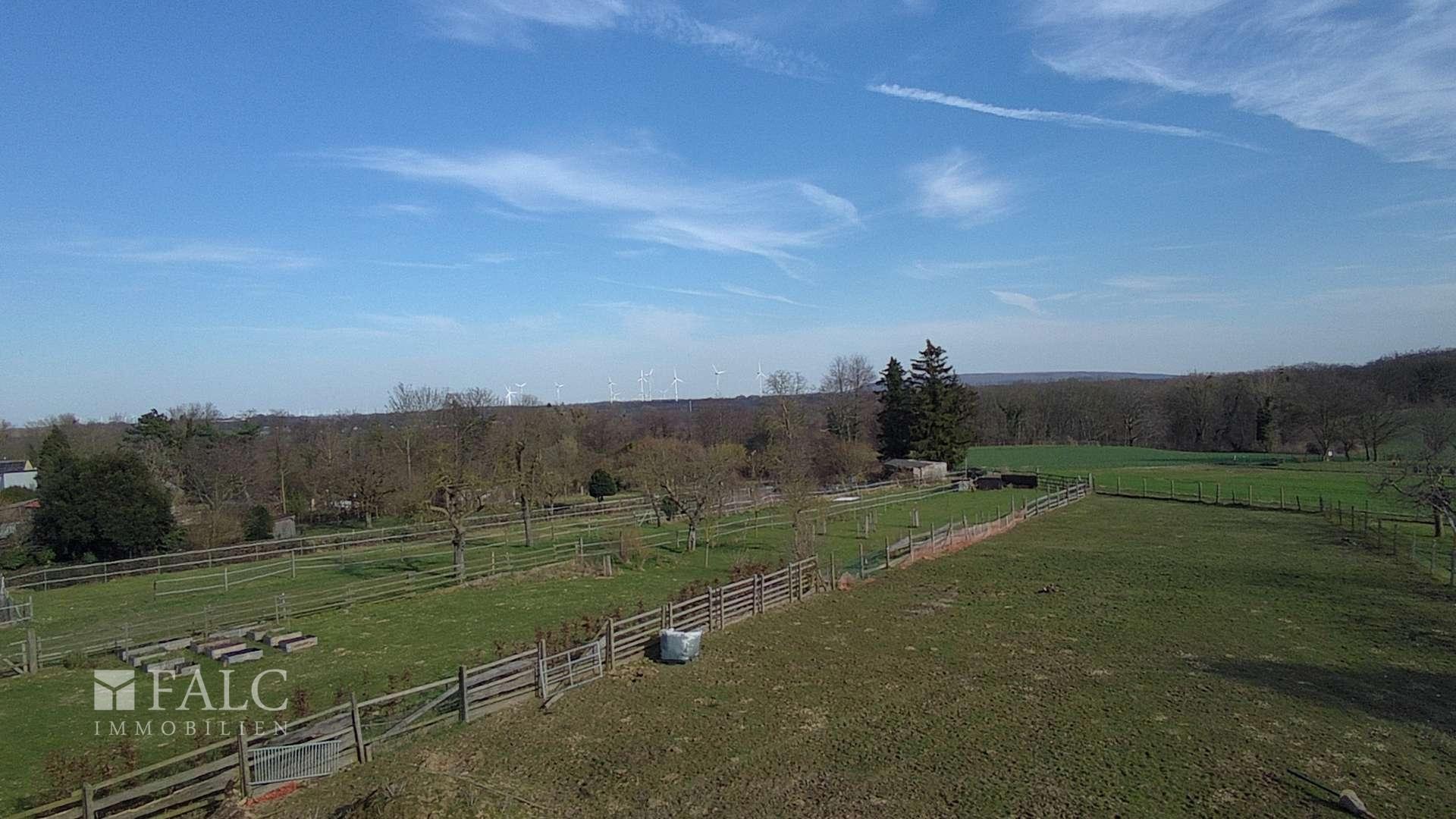 Weitblick