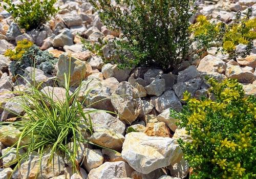 Gartendetail
