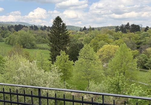 Blick in den Park