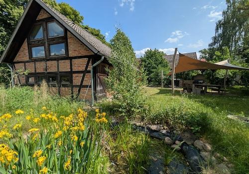 Blick in den Garten