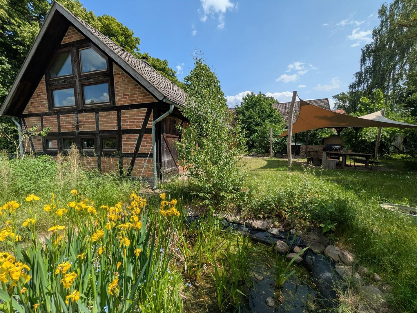Blick in den Garten